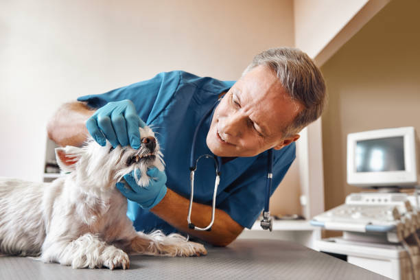 Best 24-Hour Dental Clinic Near Me  in Richwood, LA